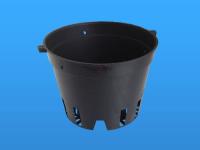 chau-lan-18